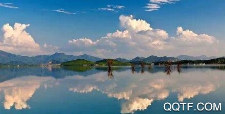 池州同城客户端