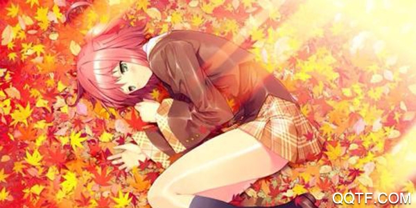 泛糖社区app正版