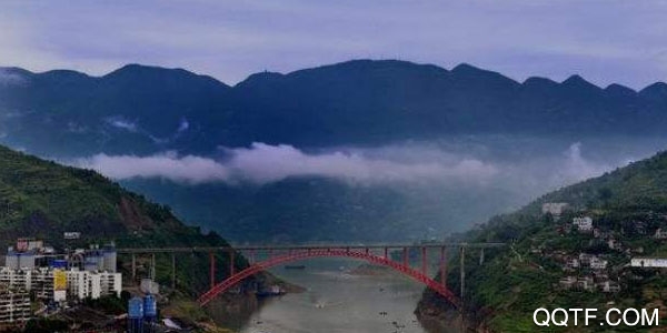 海伦融媒安卓版