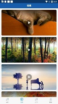 海岛音乐安卓版 海岛音乐安卓版