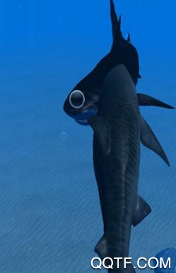 海洋世界模拟器SeaWorldSimulator手游最新版 海洋世界模拟器SeaWorldSimulator手游最新版