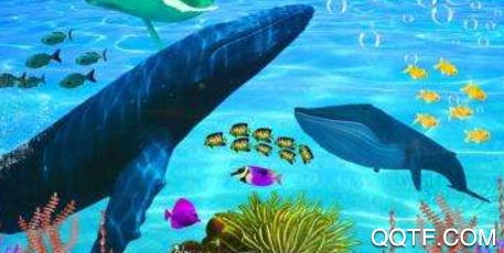 海洋世界模拟器SeaWorldSimulator手游最新版 海洋世界模拟器SeaWorldSimulator手游最新版