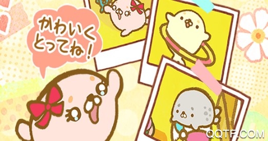 海豹生活最新版