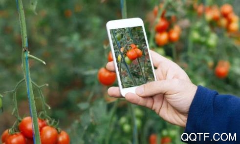 润农资讯app官方版