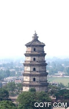 掌上涿州手机客户端 掌上涿州手机客户端