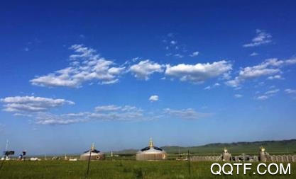 游东乌app最新版