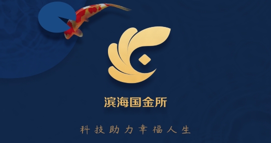 滨海国金所App安卓版