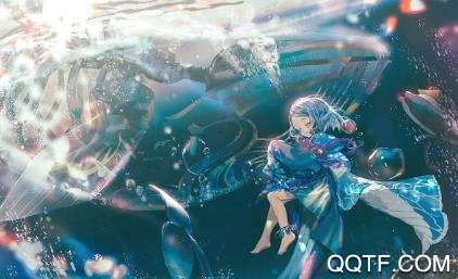 灵猫助手app安卓版 灵猫助手app安卓版