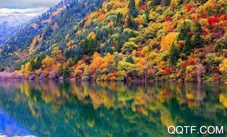 点靓黑水app安卓版 点靓黑水app安卓版