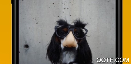 照片轮猜官方IOS版手游