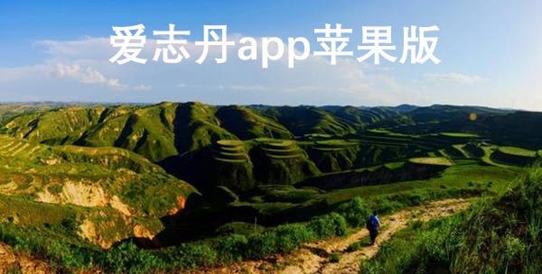 爱志丹app苹果版