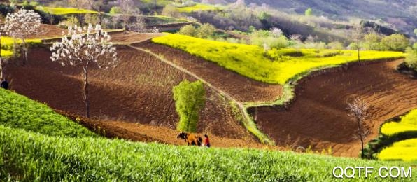 爱淳化App官方版