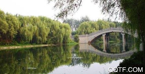 爱渭城手机App最新版