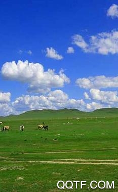 爱青城app最新版