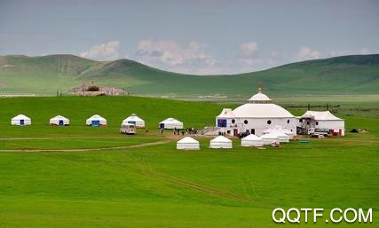 爱青城app最新版