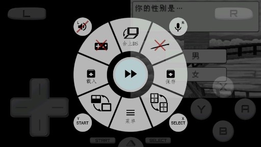 牧场物语养育你的小岛金手指版