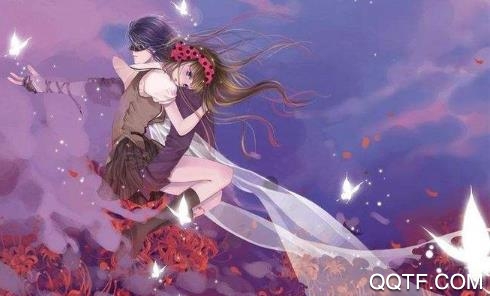 狸猫追书app最新版