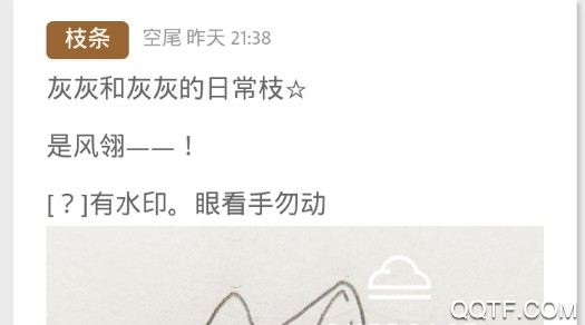 猫武士世界app安卓版