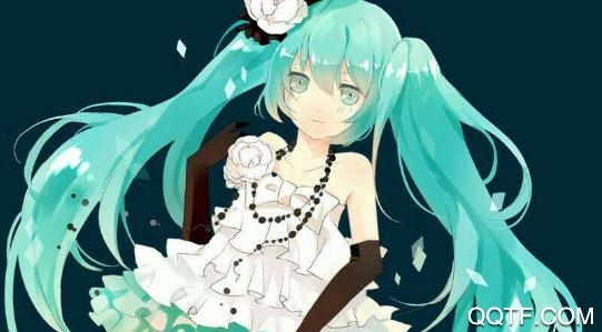 玩图社社区交友app安卓版