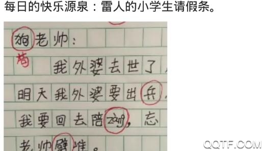 甜舟交友app安卓版