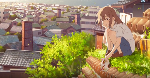 番组小窝app官方版 番组小窝app官方版