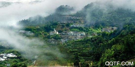 看揭西app最新版