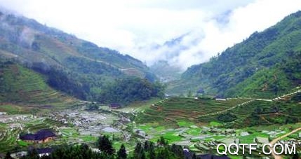 神秘从江客户端安卓版