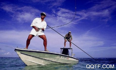 秘位app钓鱼社交平台