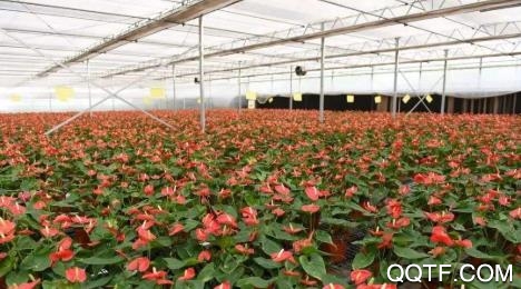 稷山农业云app最新版