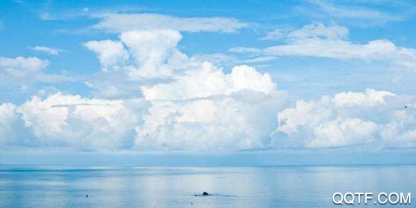 简单天气ios精准版