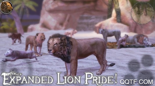 终极狮虎模拟最新版 终极狮虎模拟最新版