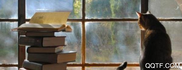 绿松读书官方IOS版