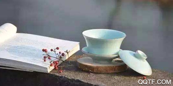 老魏读书安卓版