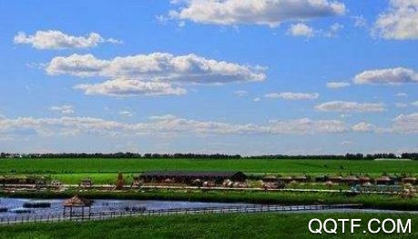 肇东融媒app官方版