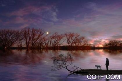 芝麻随拍app安卓版