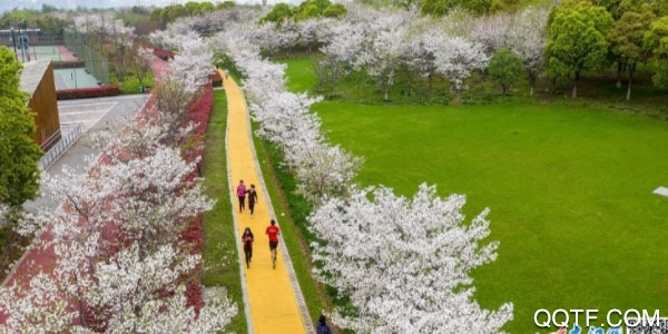 萍乡头条手机客户端