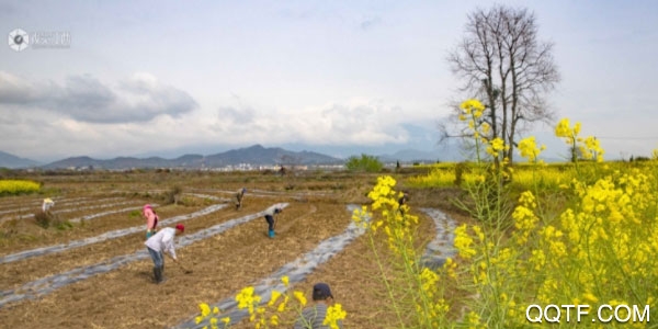 萍乡头条手机客户端