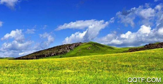 蒙e(同城服务)app安卓版