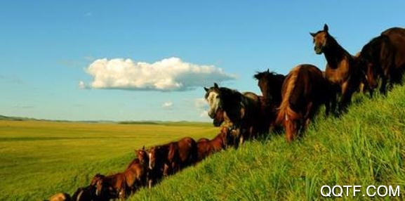 蒙e(同城服务)app安卓版