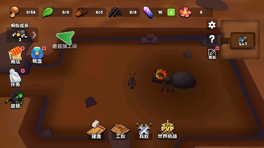 蚂蚁进化3D游戏安卓版