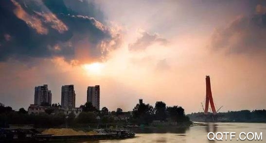 融媒涡阳app苹果版