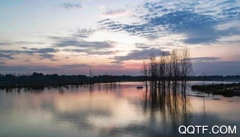 融媒涡阳app苹果版