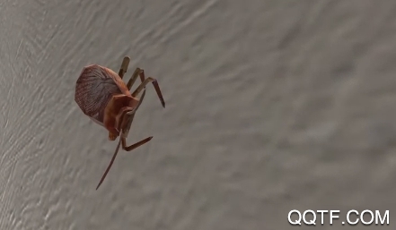 蟑螂模拟器手机版 蟑螂模拟器手机版