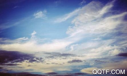 西瓜天气app安卓版