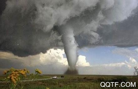 西瓜天气app安卓版