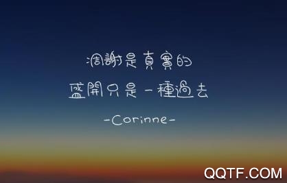 语录小组件app最新版