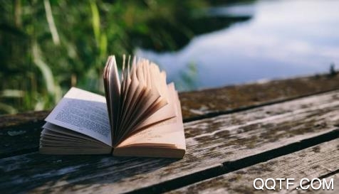 读书高手app苹果版 读书高手app苹果版