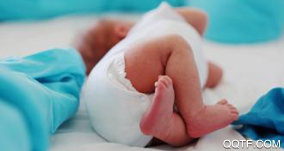 豹造孕育app手机客户端