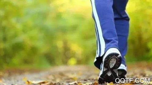 走路健康app官方版