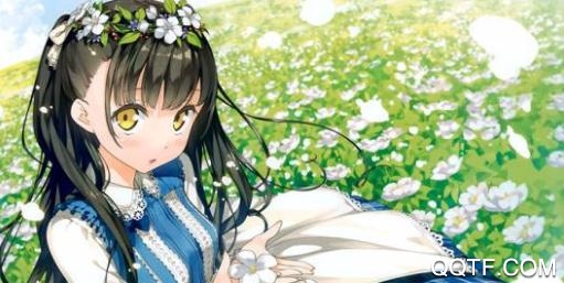 轻の小说软件官方版